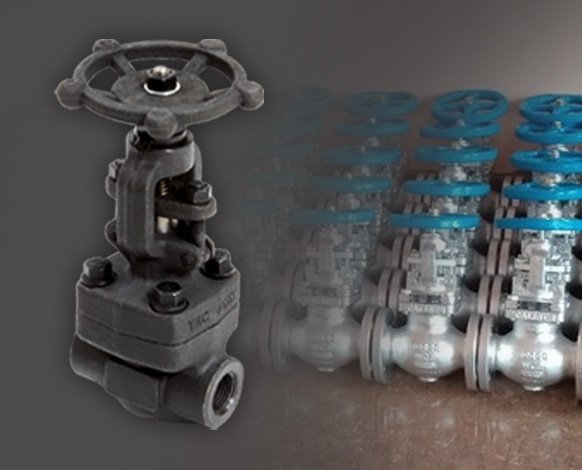 Forged Steel Globe Valve bulk