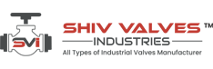 Shiv Valves Industries